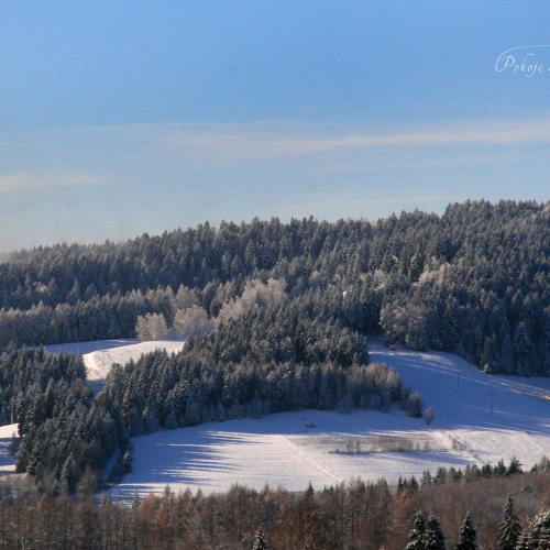 Widok na Tylicz.ski_1